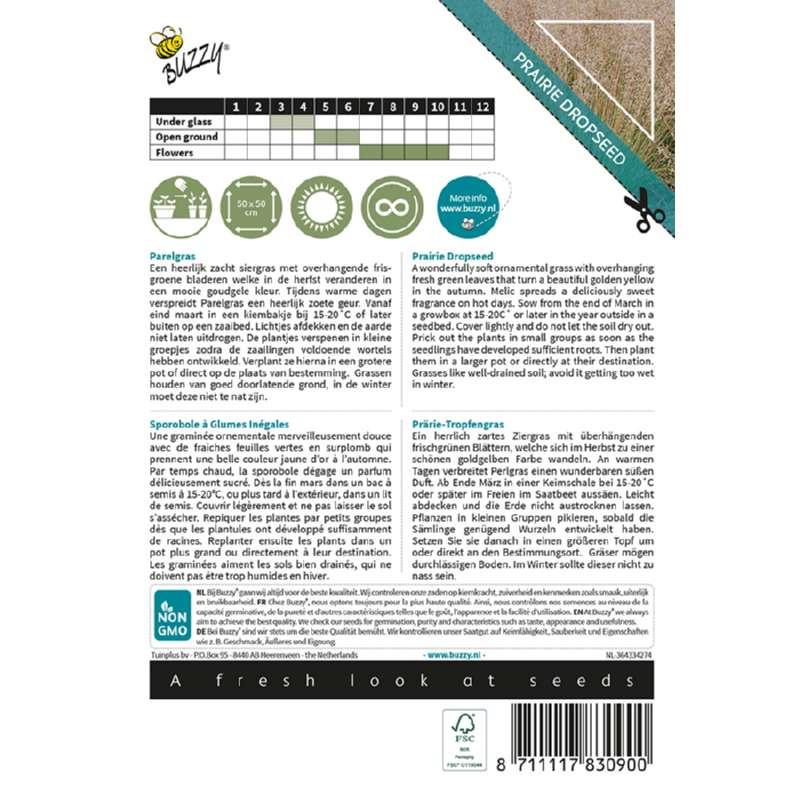 Prydgræs - Perlegræs - Sporobolus Heterolepis