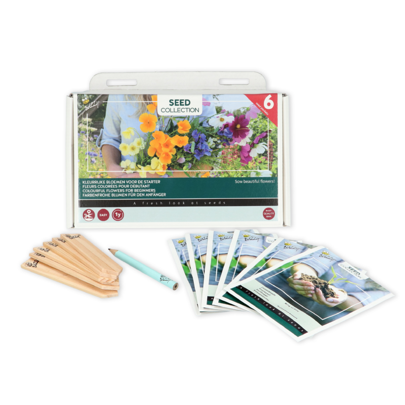 Frøbox - 6 blomster for begynder