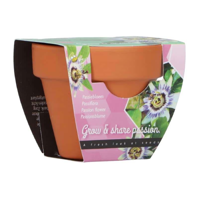Gro gave - Passionsblomst