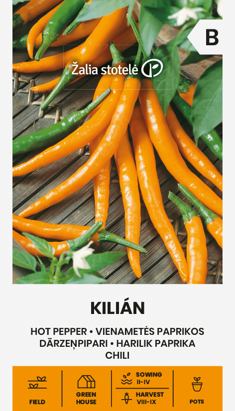 Kilian - C. annuum