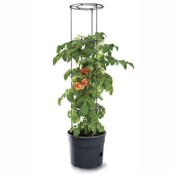 Tomatpotte 12 ltr m/espalier