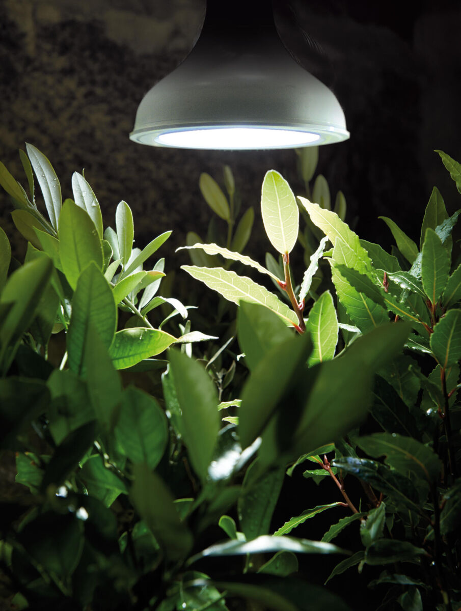 LED Vækslampe - 18W