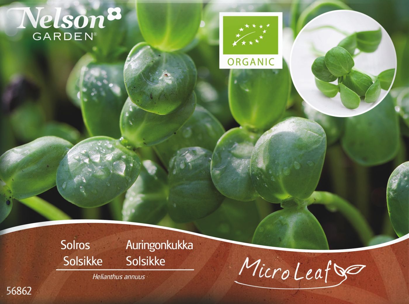 Micro Leaf, Solsikke (øko)