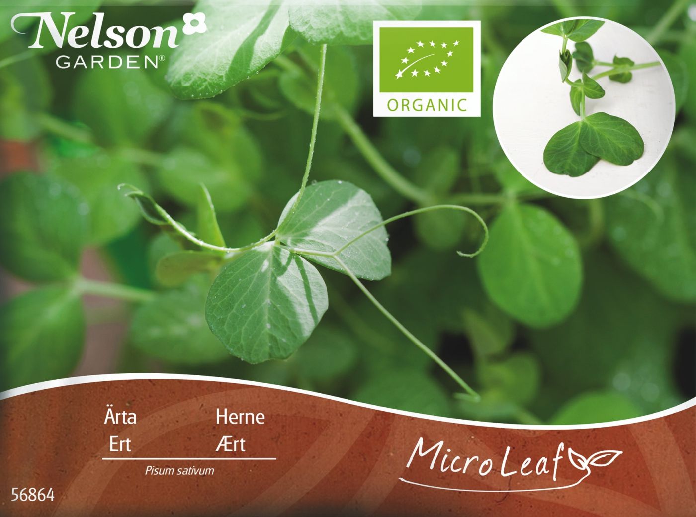 Micro Leaf, Ært (øko)