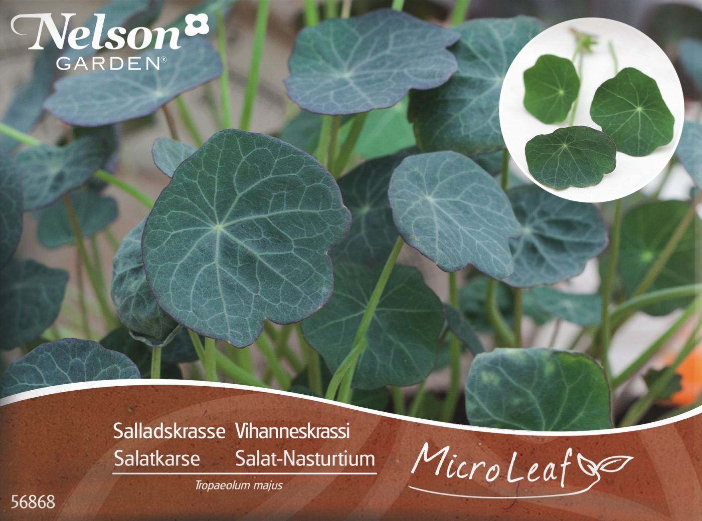 Micro Leaf - Salat Nasturtium