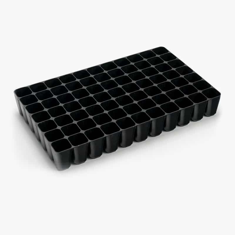 Spirebakke 'Everlasting' Lav, Kraftig plast