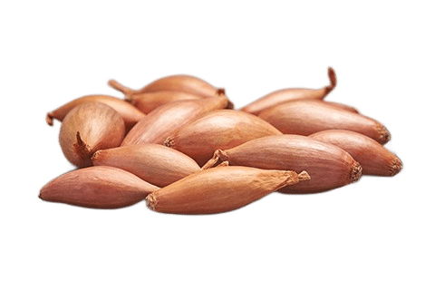 Sætteløg - Skalotte - Longor - 500g