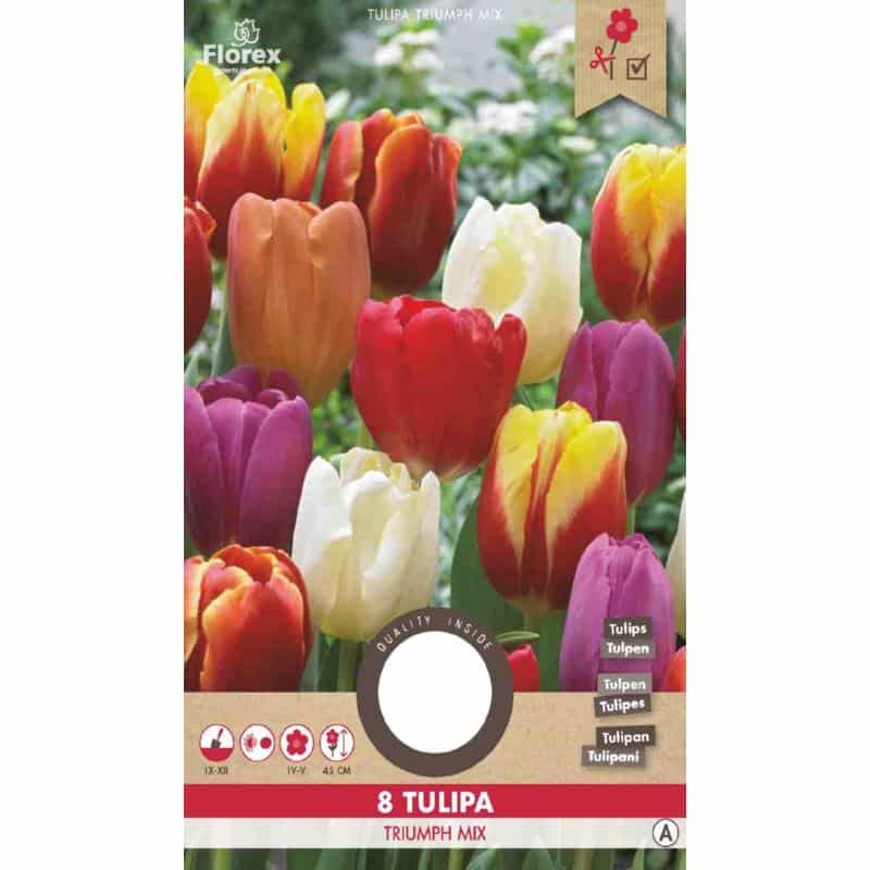 Tulipan Løg - Triumph Mix