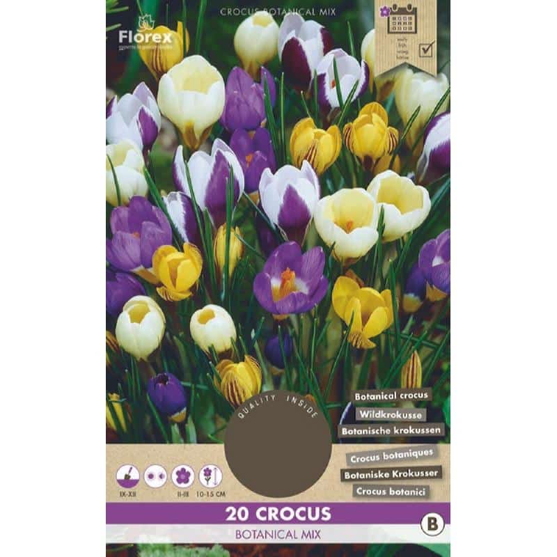 Krokus Løg - Botanical Mix