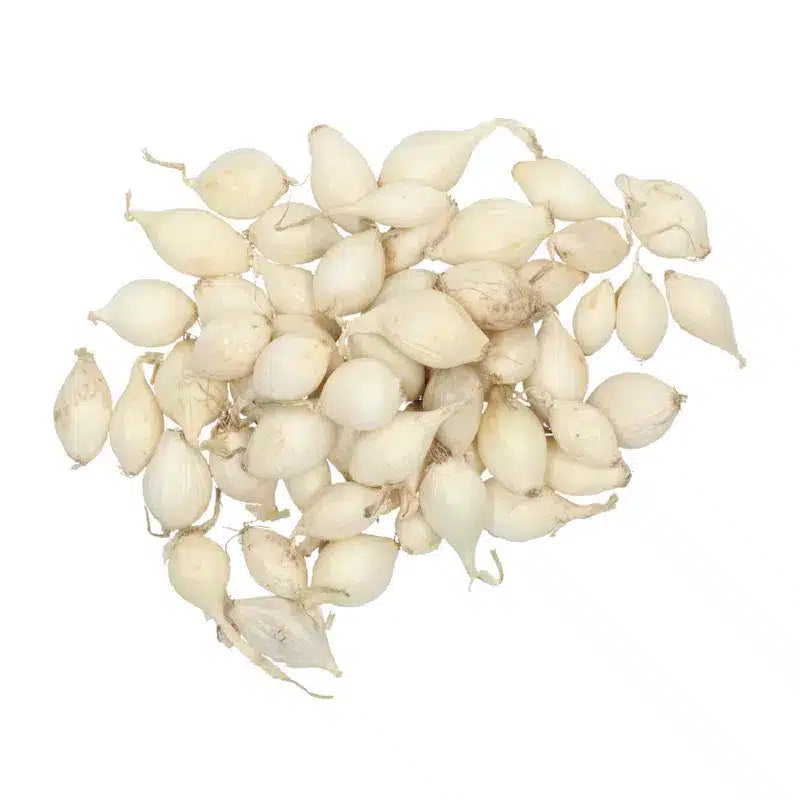 Sætteløg - Snowball - 1kg