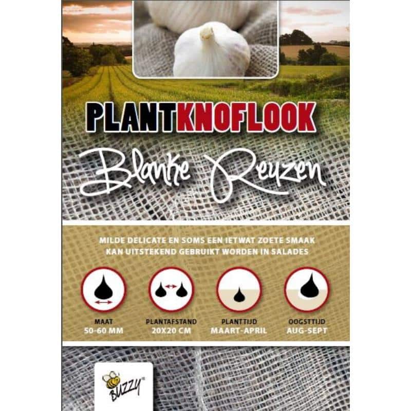 Sættehvidløg - Blanke Reutzen - til forårssætning