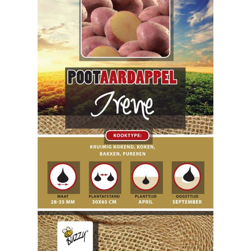 Læggekartoffel - Irene 1KG - Buzzy® - NYHED2025