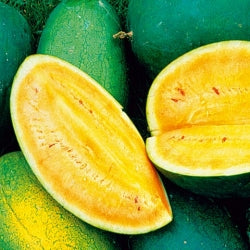 Sweet Siberian - vandmelon