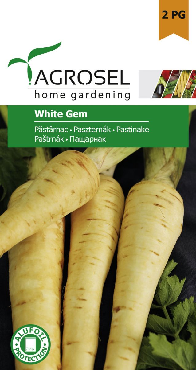 Pastinak - White Gem - PG2