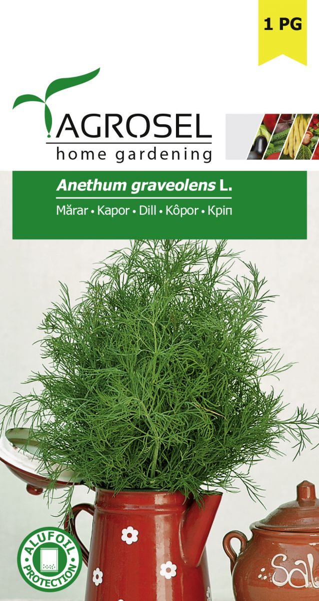 Dild - Common Anethum Graveolens lille pk.