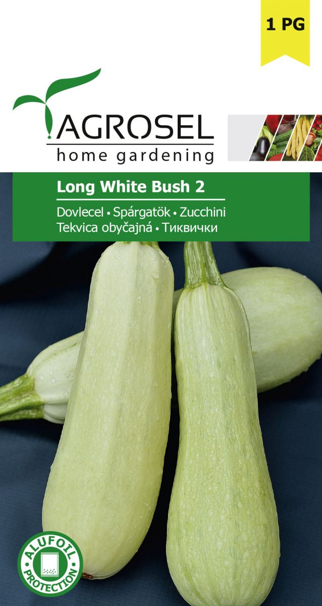 Squash - Long White Bush 2