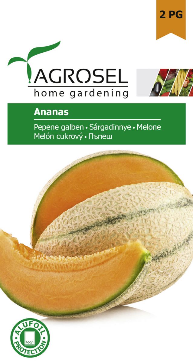 Melon - Ananas