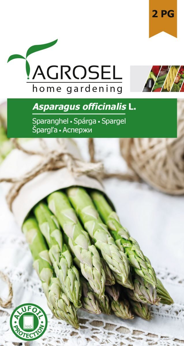 Asparges - Asparagus Officinalis