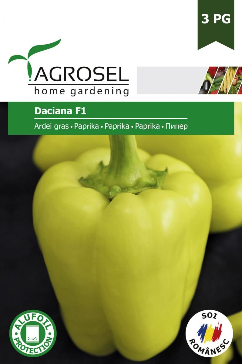Peberfrugt - Daciana F1
