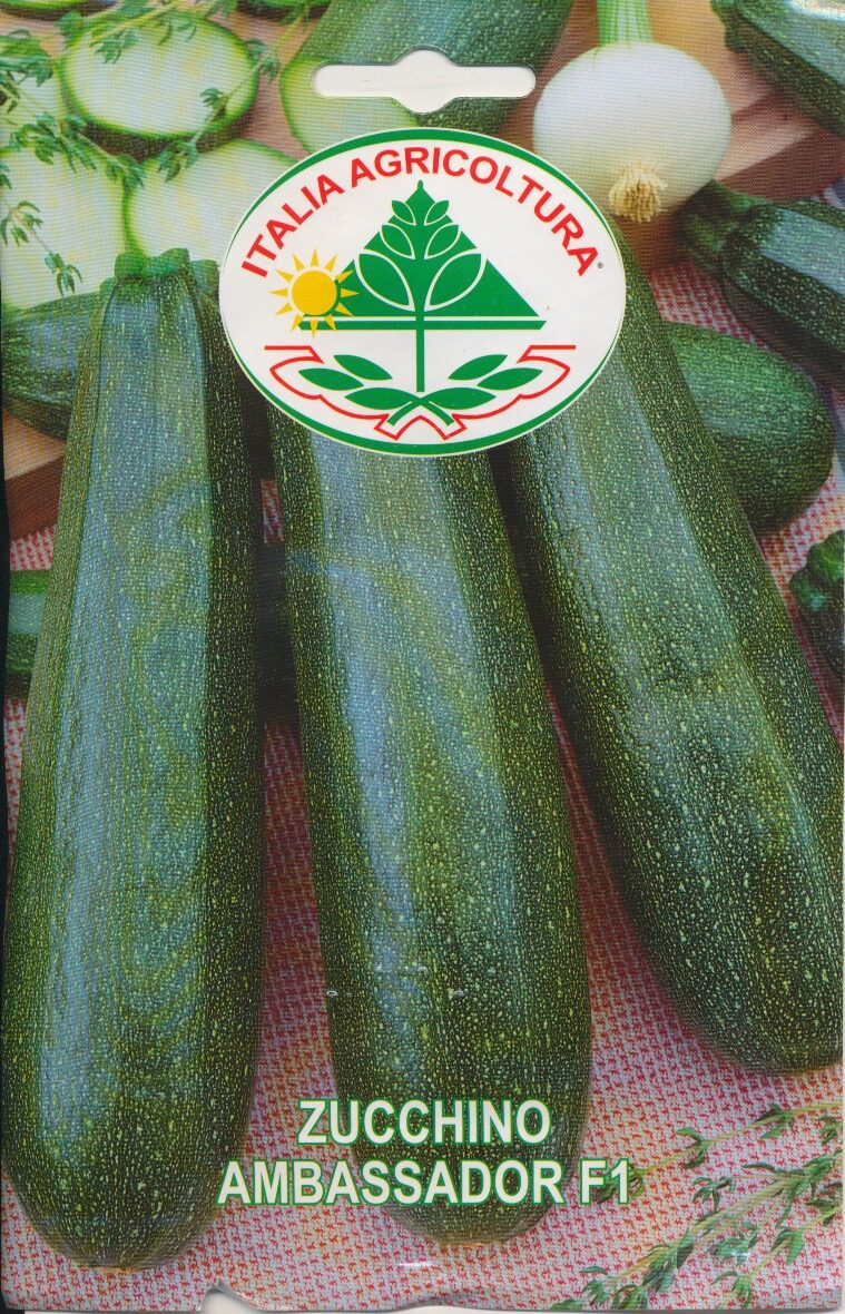 Squash - Ambassador F1