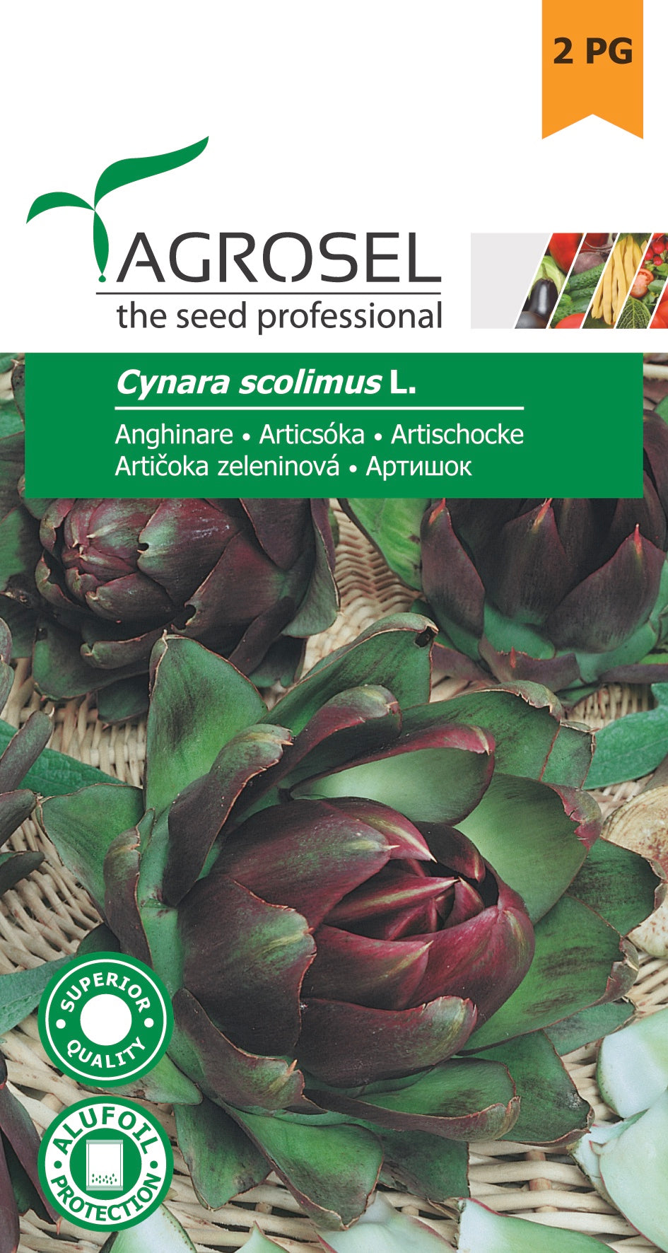 Artiskok - Cynara scolimus L. - PG2