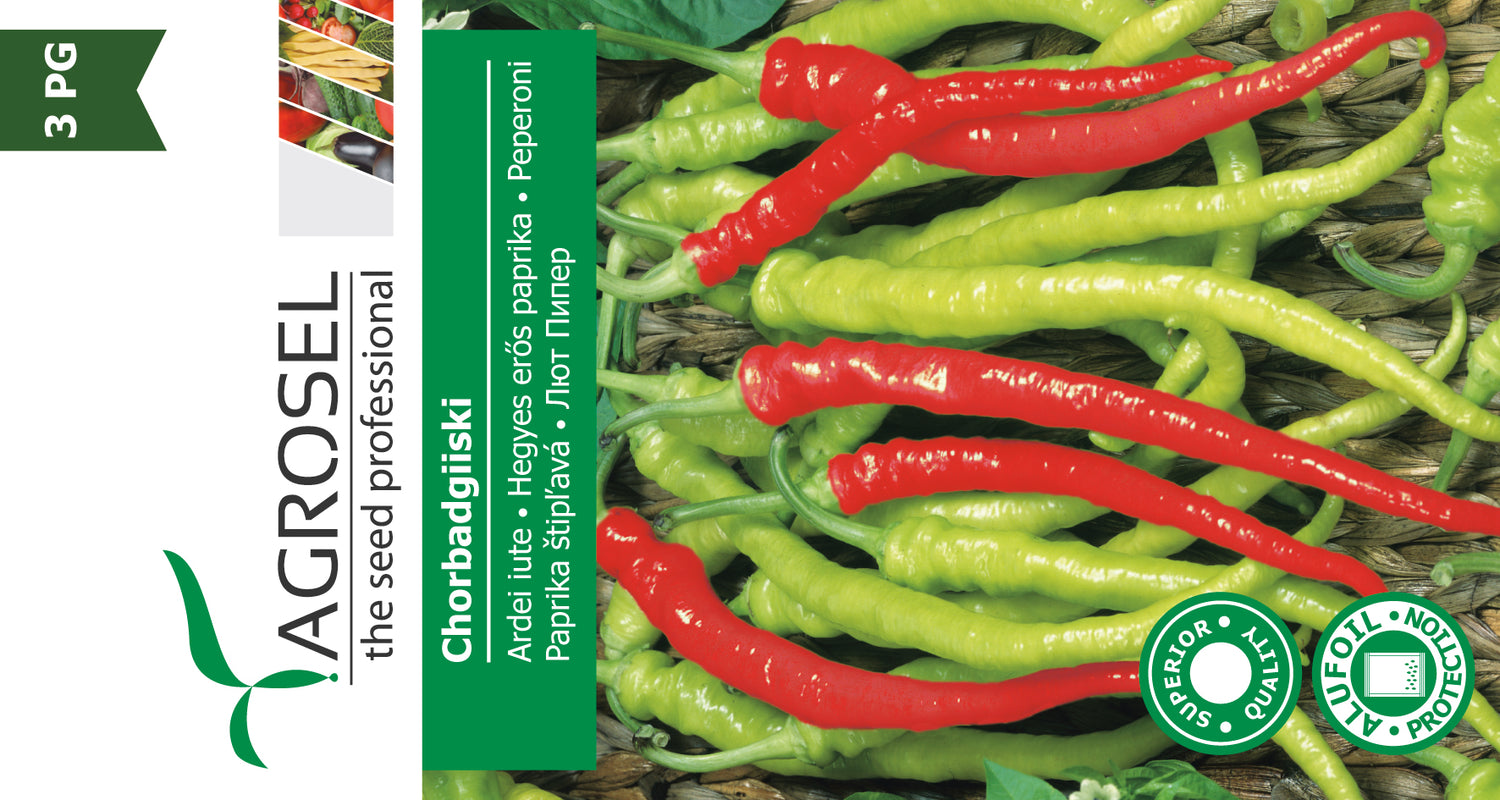 Chili Peber - Chorbadiiski C.annuum