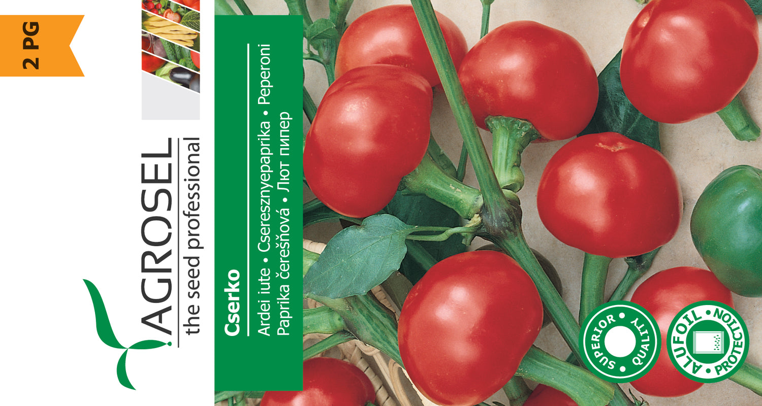 Chili Peber - Cserko C.annuum