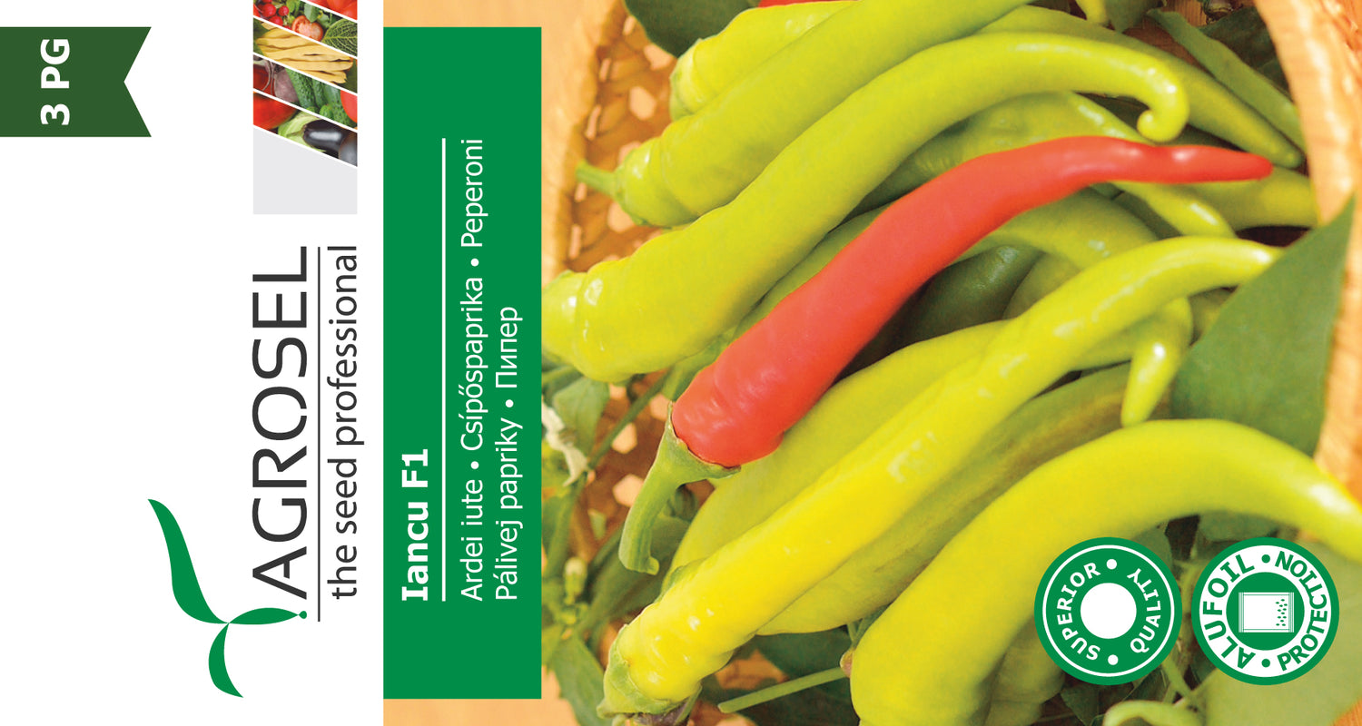 Chili Peber - Iancu F1 C.annuum
