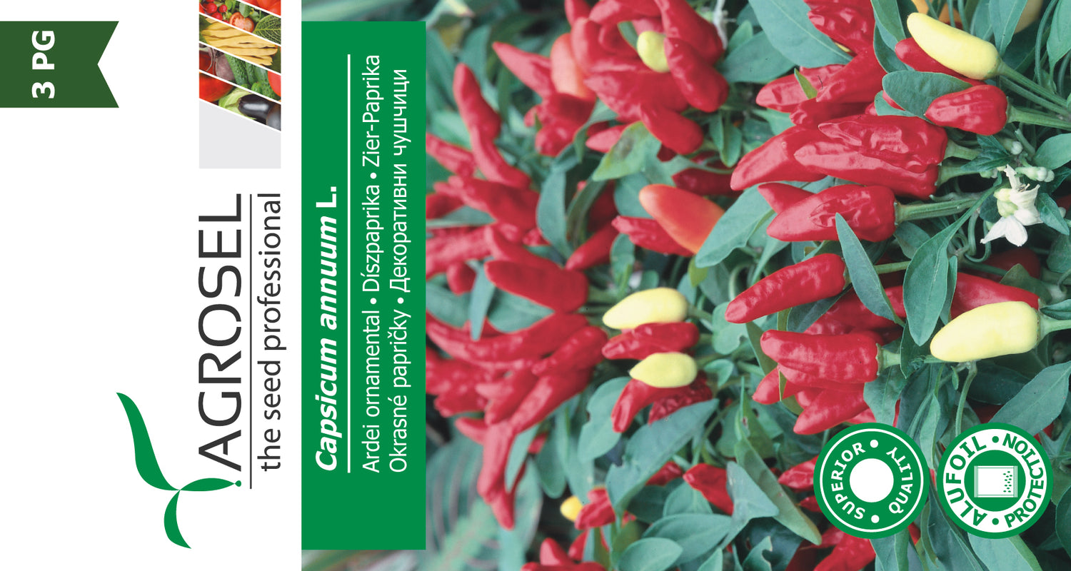 Pynte Peber - Capsicum annuum L.