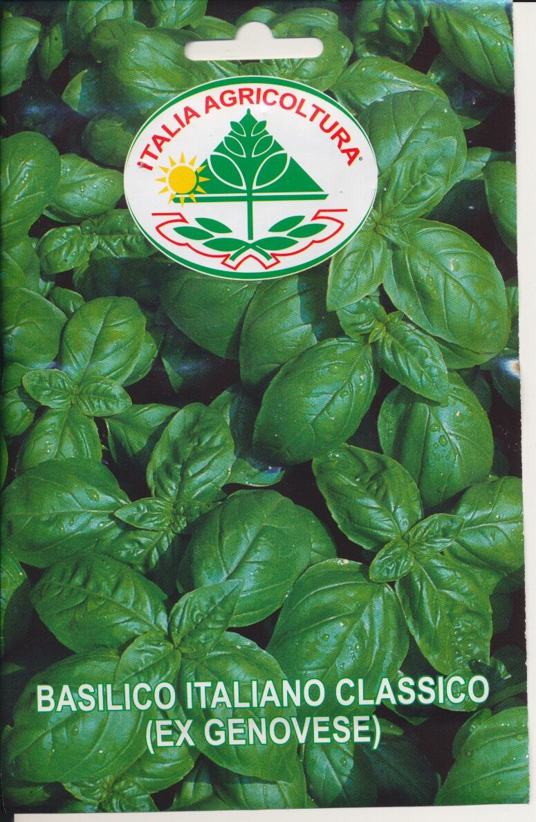Basilikum - Italiano Classico 50 GRAM