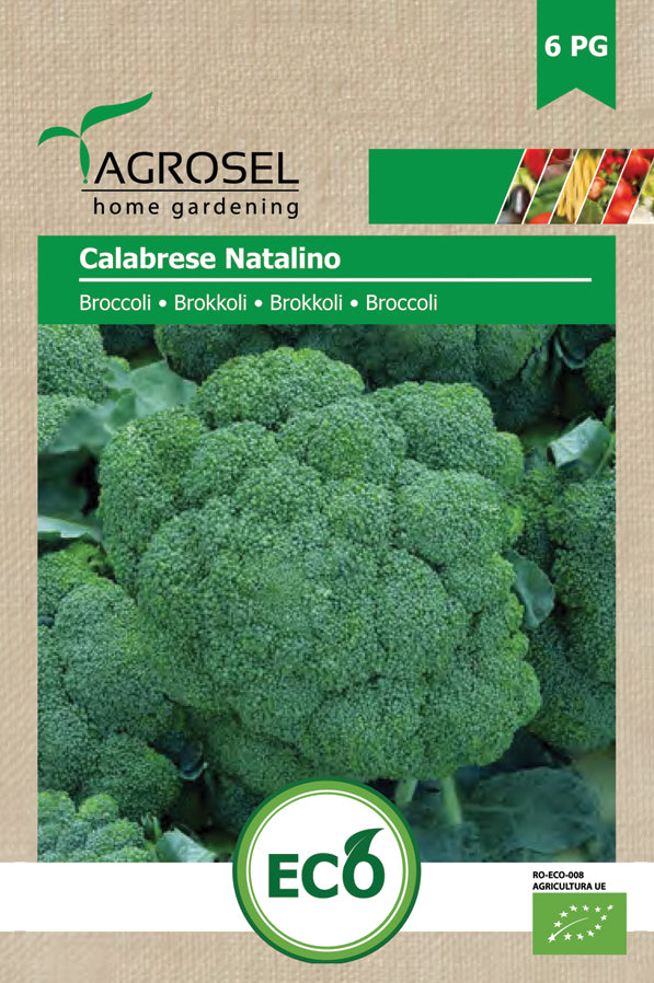 Broccoli - Calabrese Natalino ØKO
