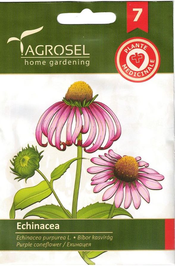Solhat - Echinacea