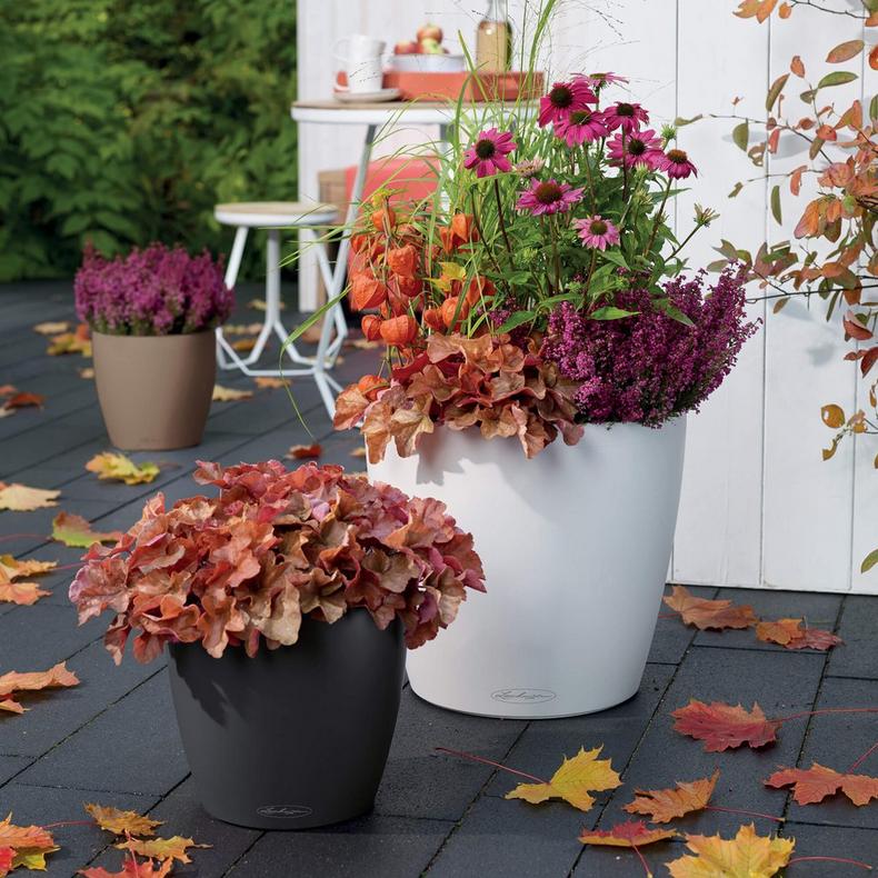 Lechuza Color Classico Hvid selvvandende potte