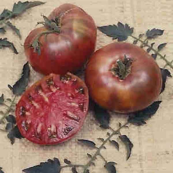Cherokee Purple
