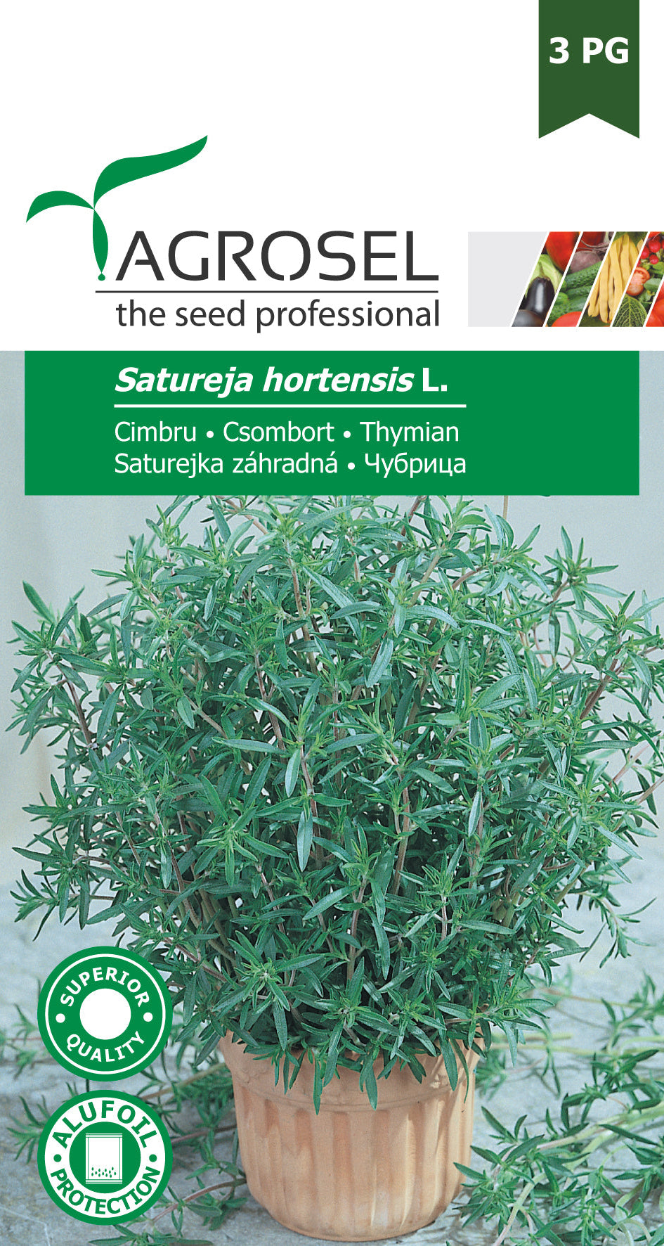 Sommer Sar - Satureja Hortensis L.