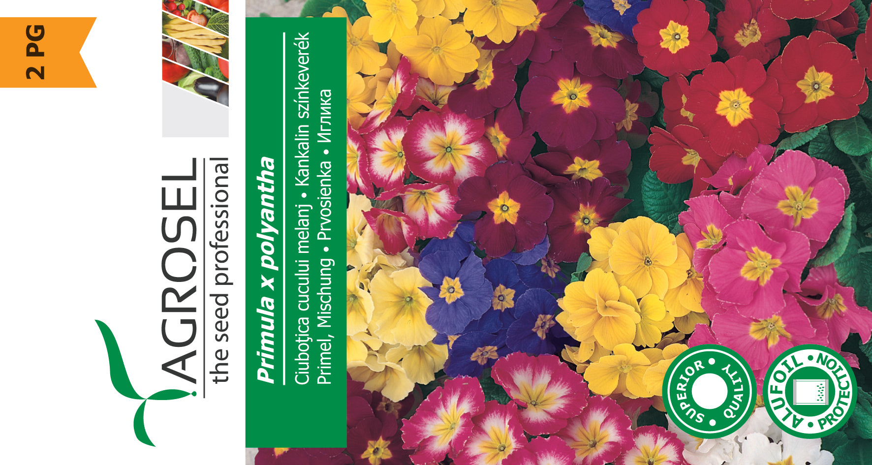 Primula Mix – Bjarne's frø og planter