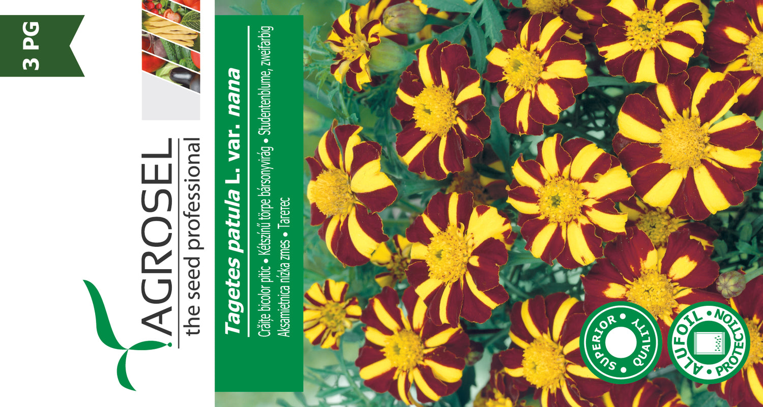 Fløjelsblomst  2 Farvet - Tagetes Patula Nana