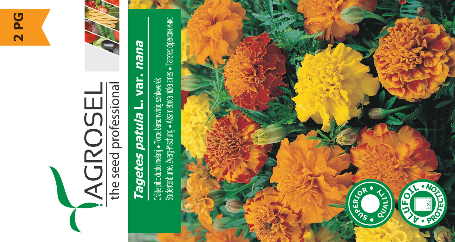 Fløjelsblomst - Tagetes Patula