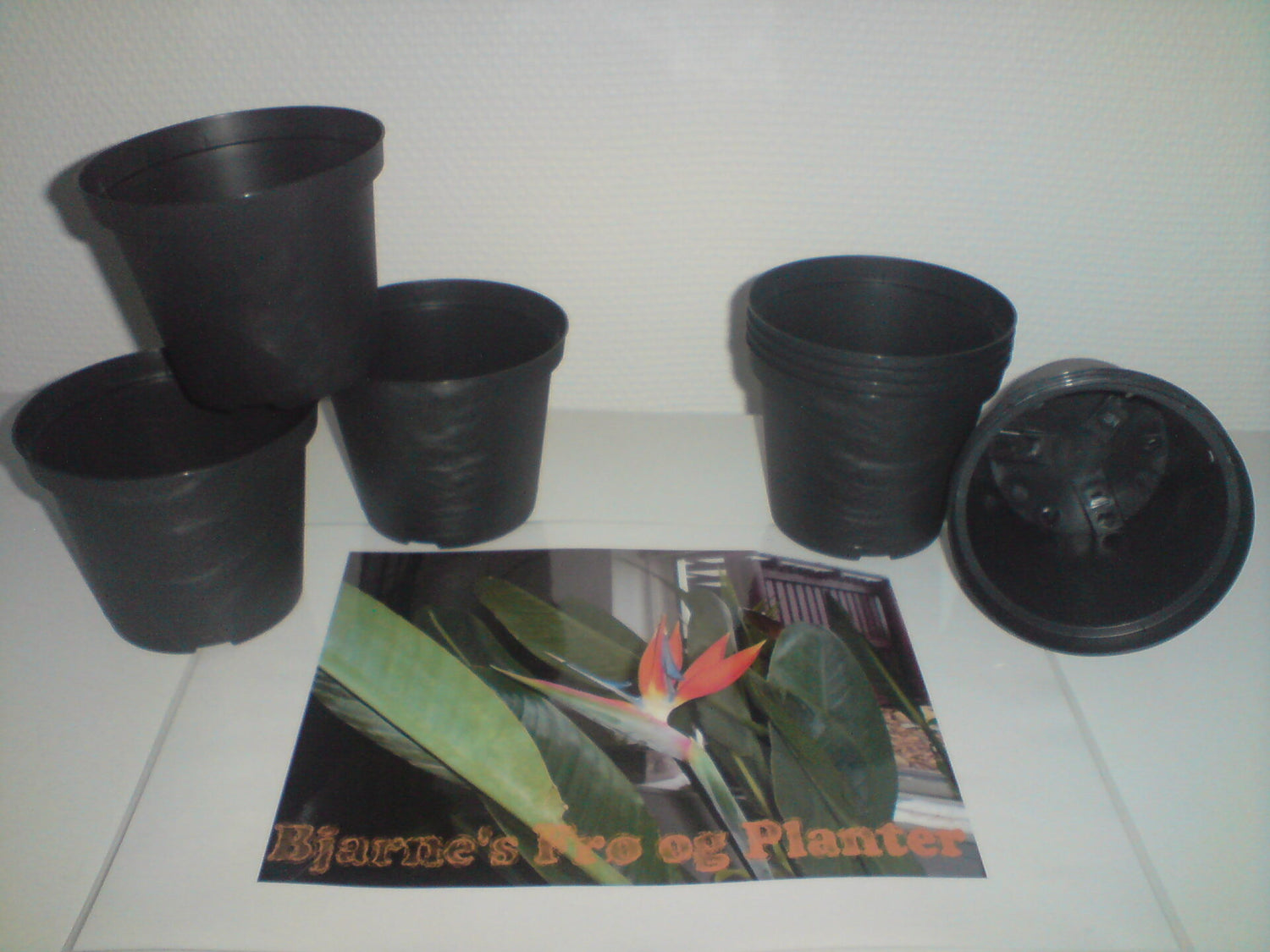 Planteskolepotter GRÅ Ø13 cm / 0,85L