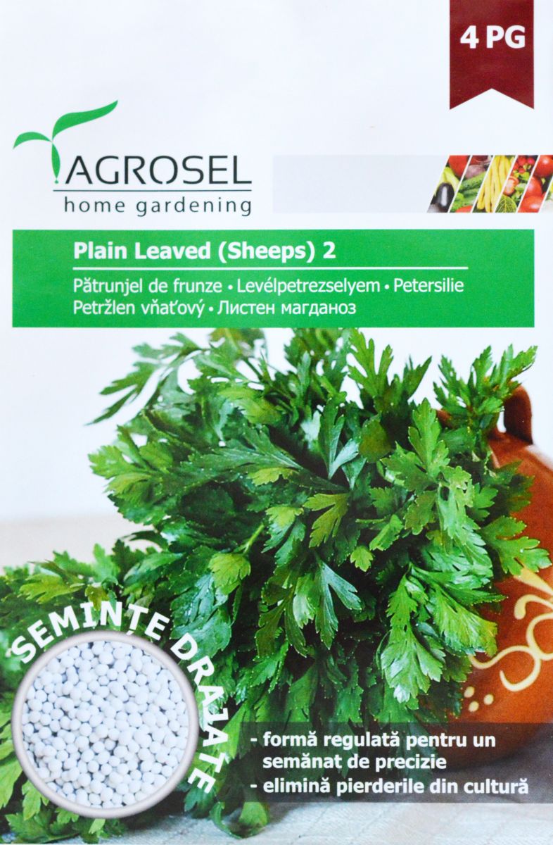 Persille glatbladet - Plain Leaved (Sheeps) 2 - PILLEFRØ