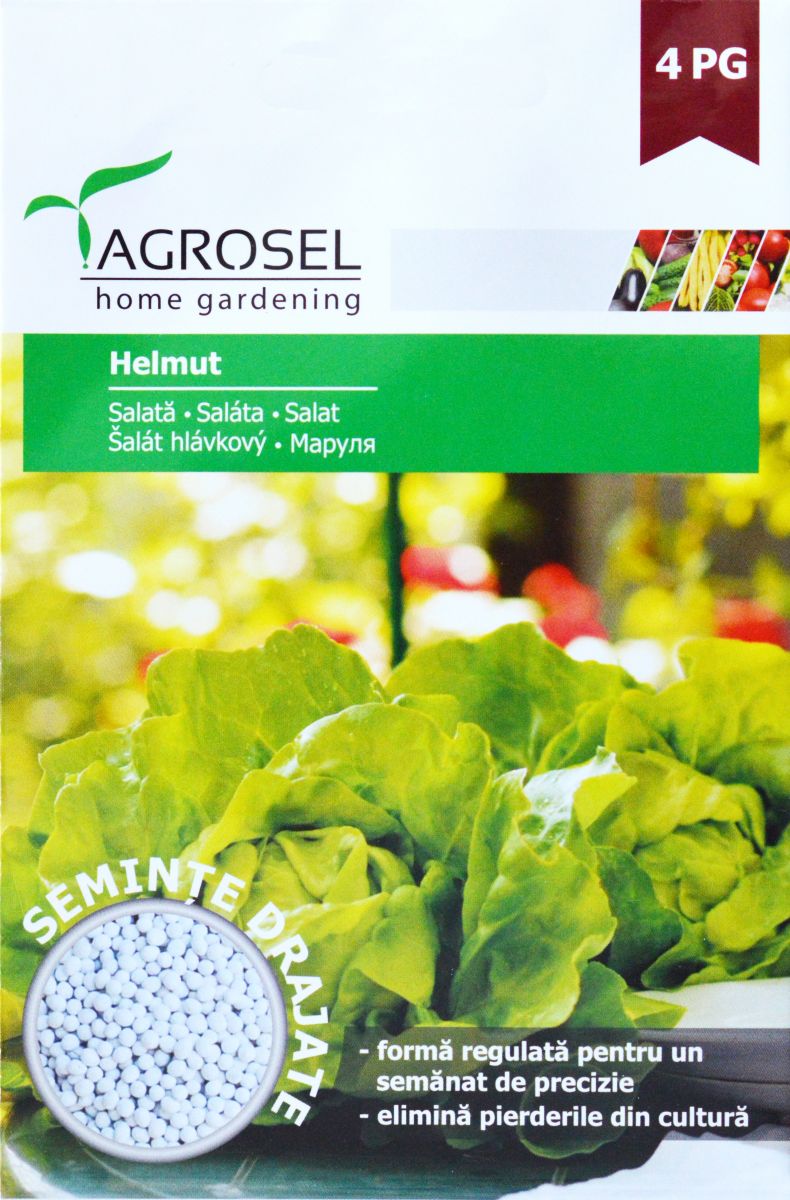 Salat - Helmuth - PILLEFRØ