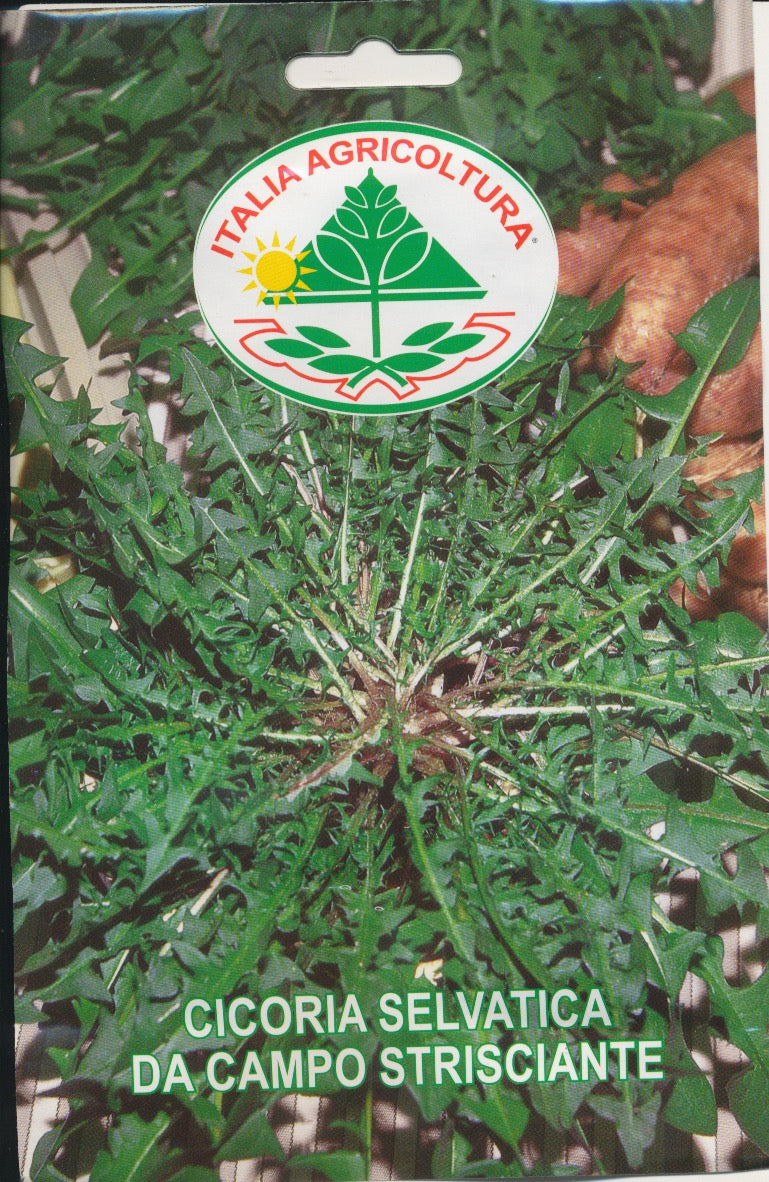 Cikorie, blad - Da Campo Strisciante