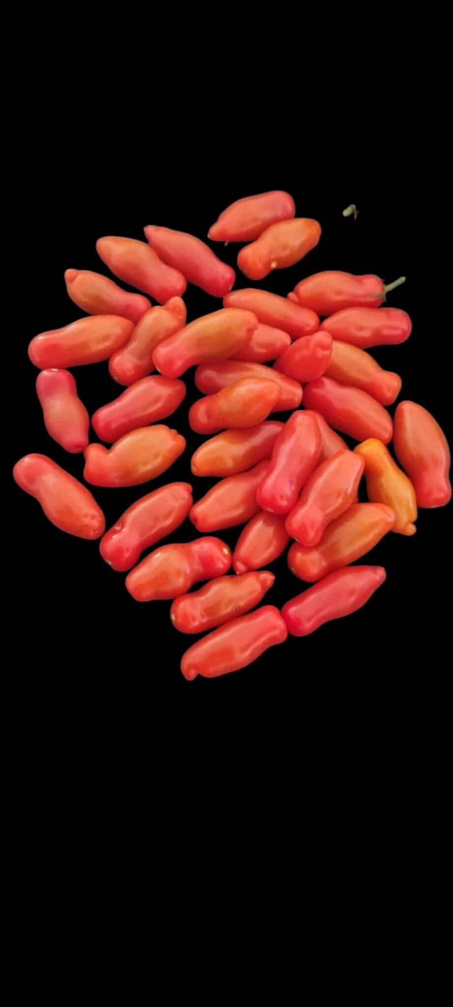 Cherry tomat - Deluxe - Altan Tomat