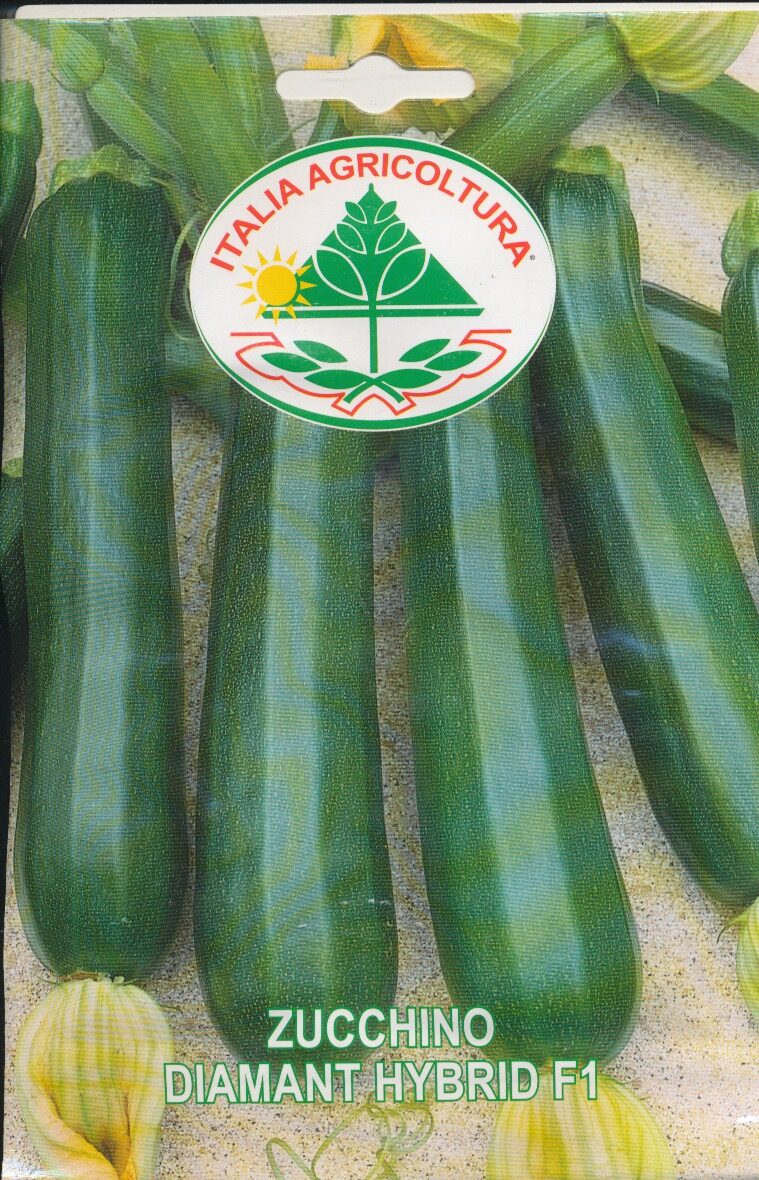 Squash - Diamant Hybrid F1