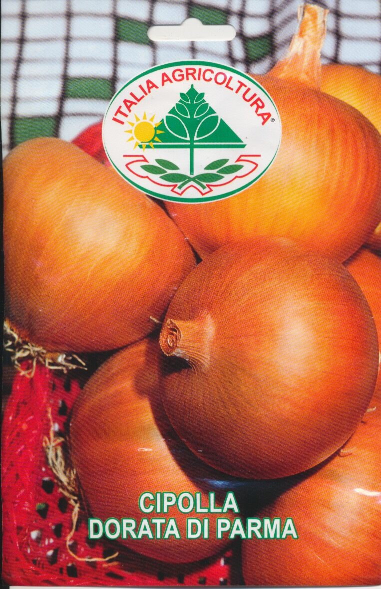 Løg - Dorata Di Parma