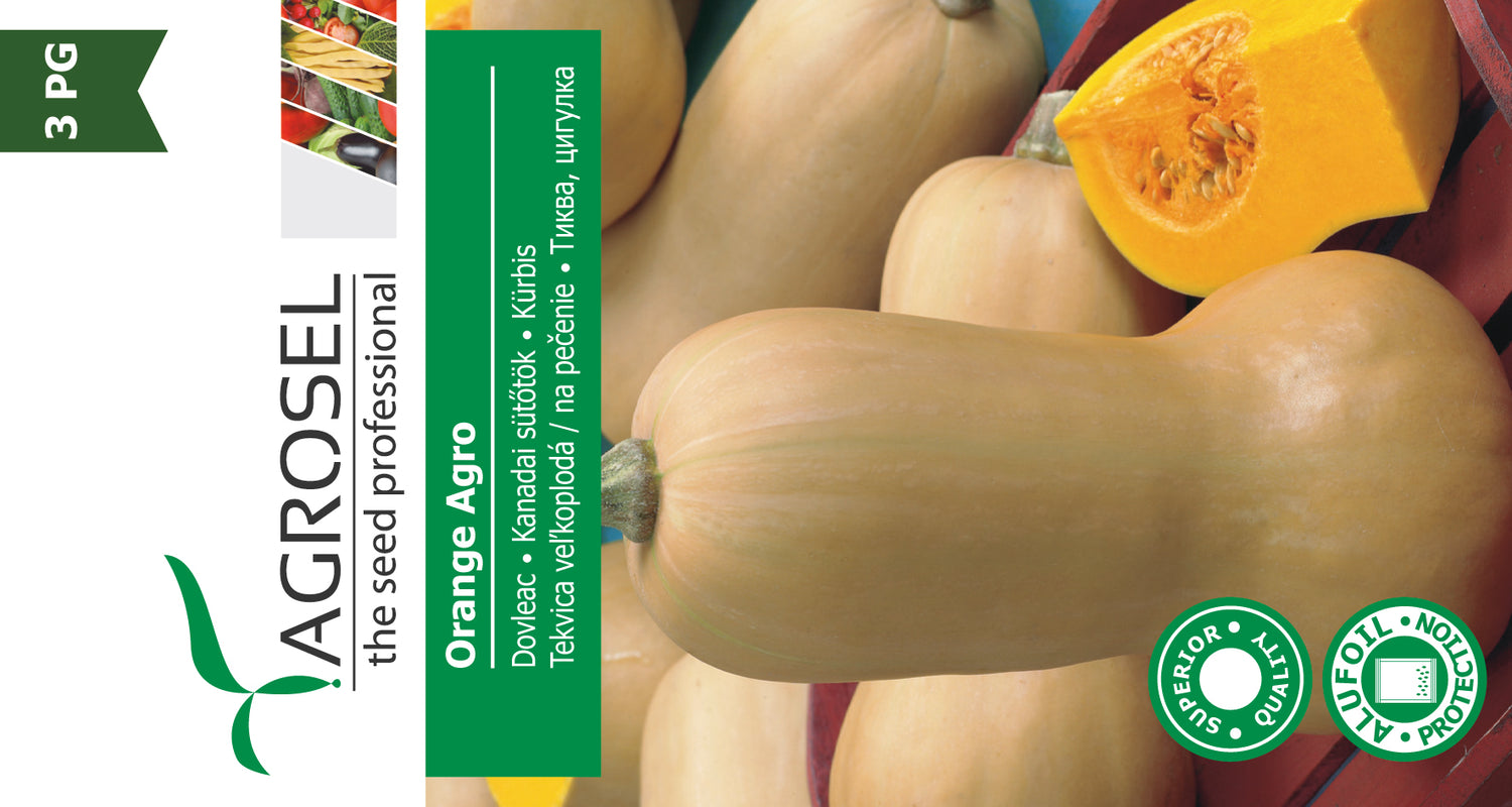 Græskar - Orange Agro - stor pk