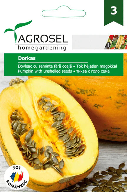 Græskar - Dorkas - Nøgengræskar - BIG PACK