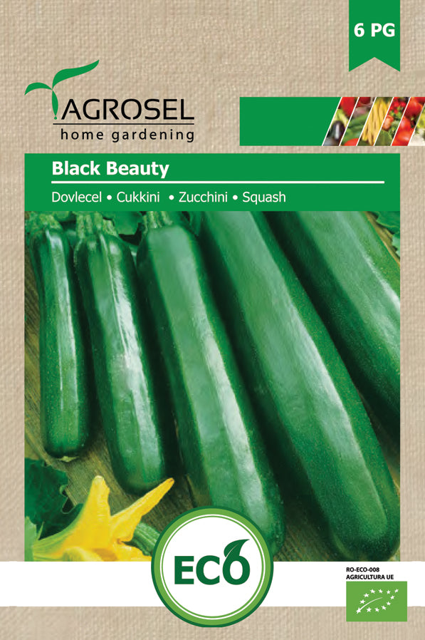 Squash - Black Beauty ØKO - PG6