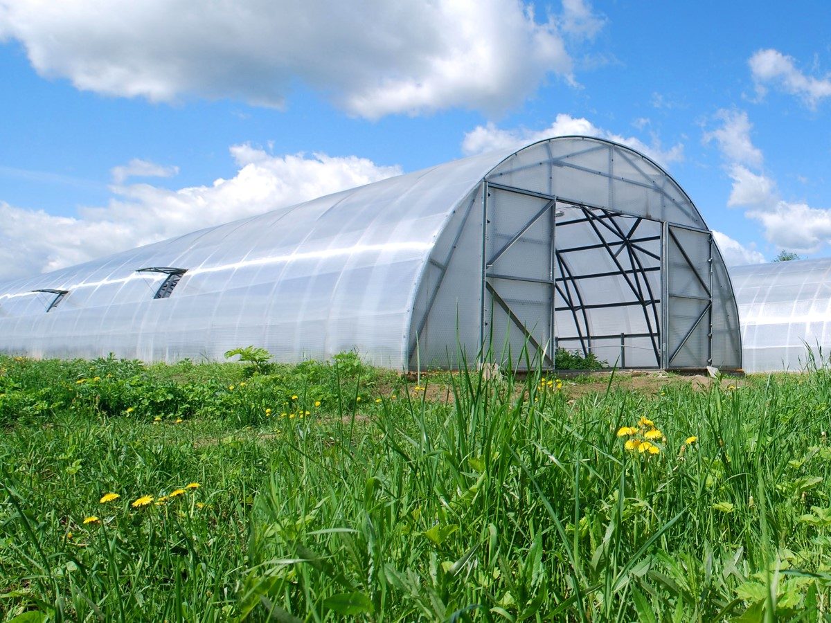 Farmer 75 - 15 m2/2 m FORLÆNGELSE