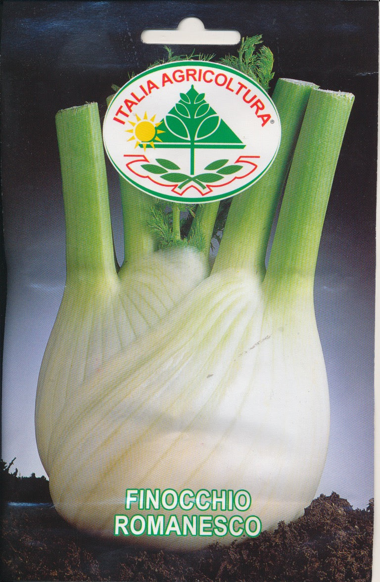 knoldfennikel - Finocchio Romanesco